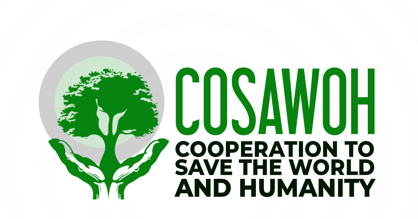 STATUTS DE COOPERATION TO SAVE THE WORLD AND HUMANITY